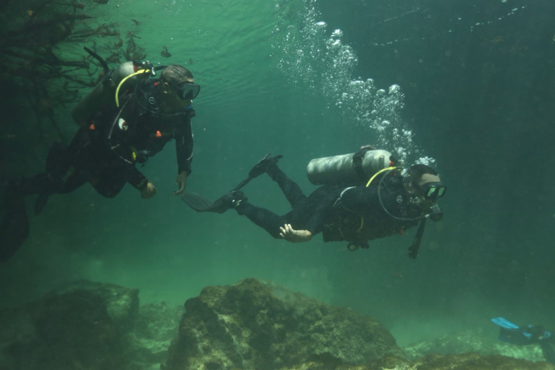 Two divers midwater in green cenote water