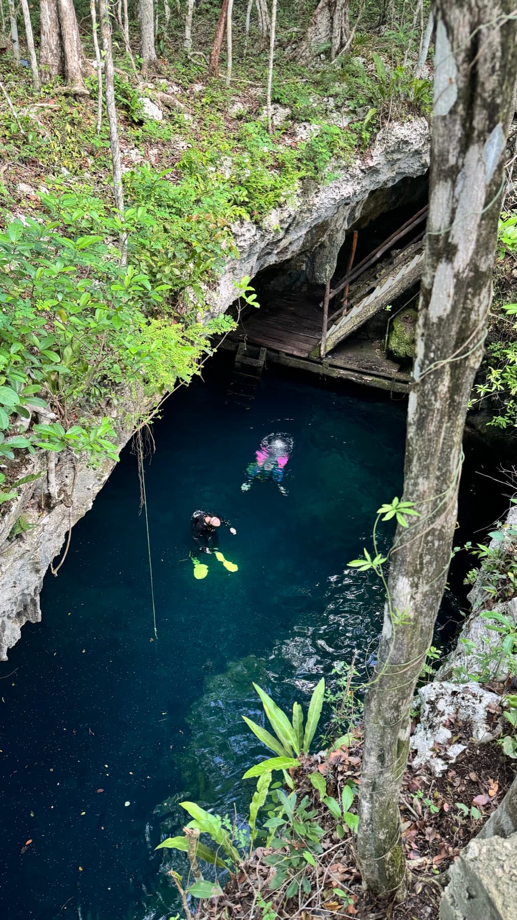Divers in a cenote seen from the jungle above