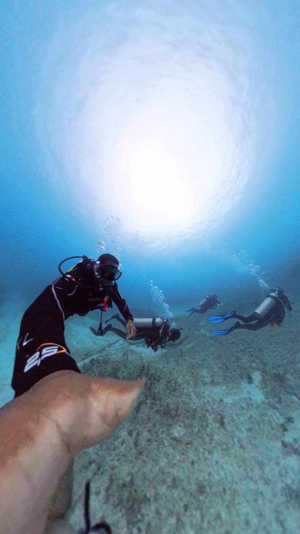 A group of divers crossing a sandy bottom under the sun